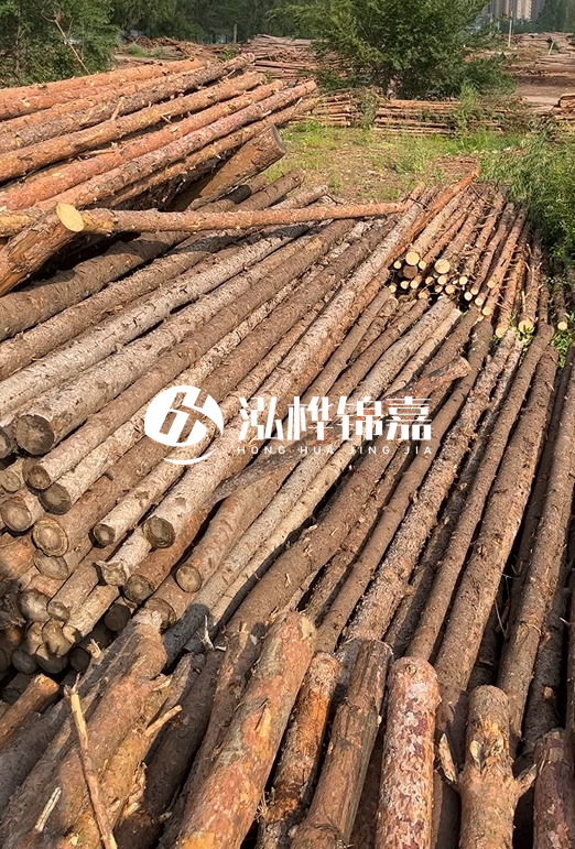 如何選擇合適的松木樁廠家？采購松木樁需要考慮的因素有哪些？