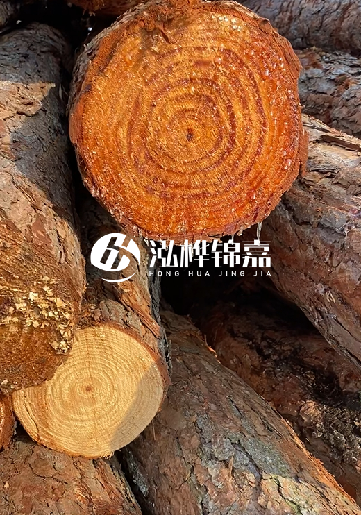 江西河道打樁木廠家泓樺錦嘉-河道打樁木如何避免中間商？