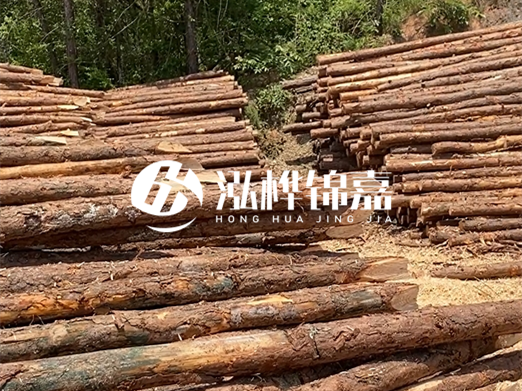 松木樁的運輸費用是否包含卸車費？卸貨時需要注意哪些安全問題？