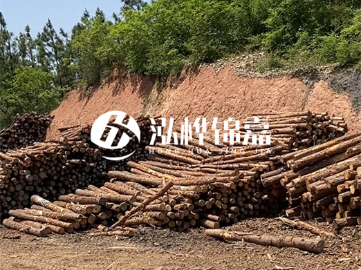 油松打樁木和落葉松打樁木的價(jià)格差異是多少？哪個性價(jià)比更高？