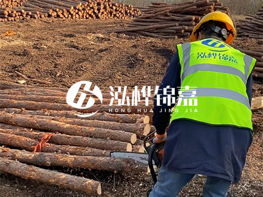 哪些木樁廠家能提供快速定制服務(wù)？哪些木樁廠家在國內(nèi)有多個生產(chǎn)基地？