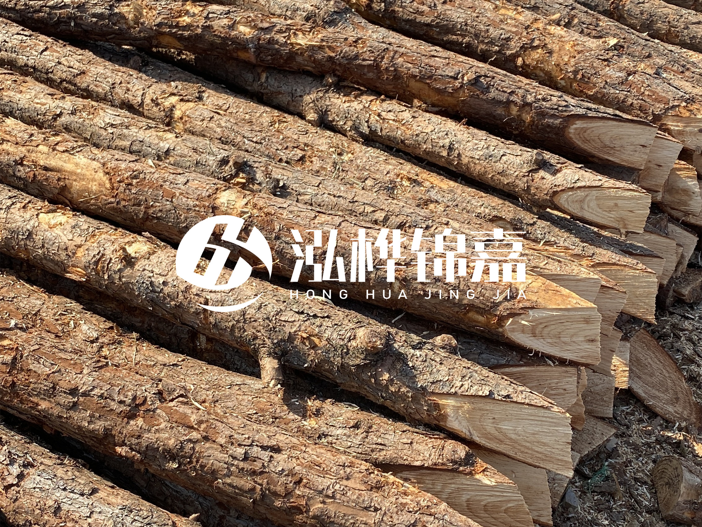 8 米超大直徑松木樁的價格是多少？帶皮和去皮松木樁價格差多少？