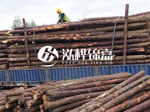 防洪防汛用松木樁的單價是多少？4米長10公分多少錢一根？