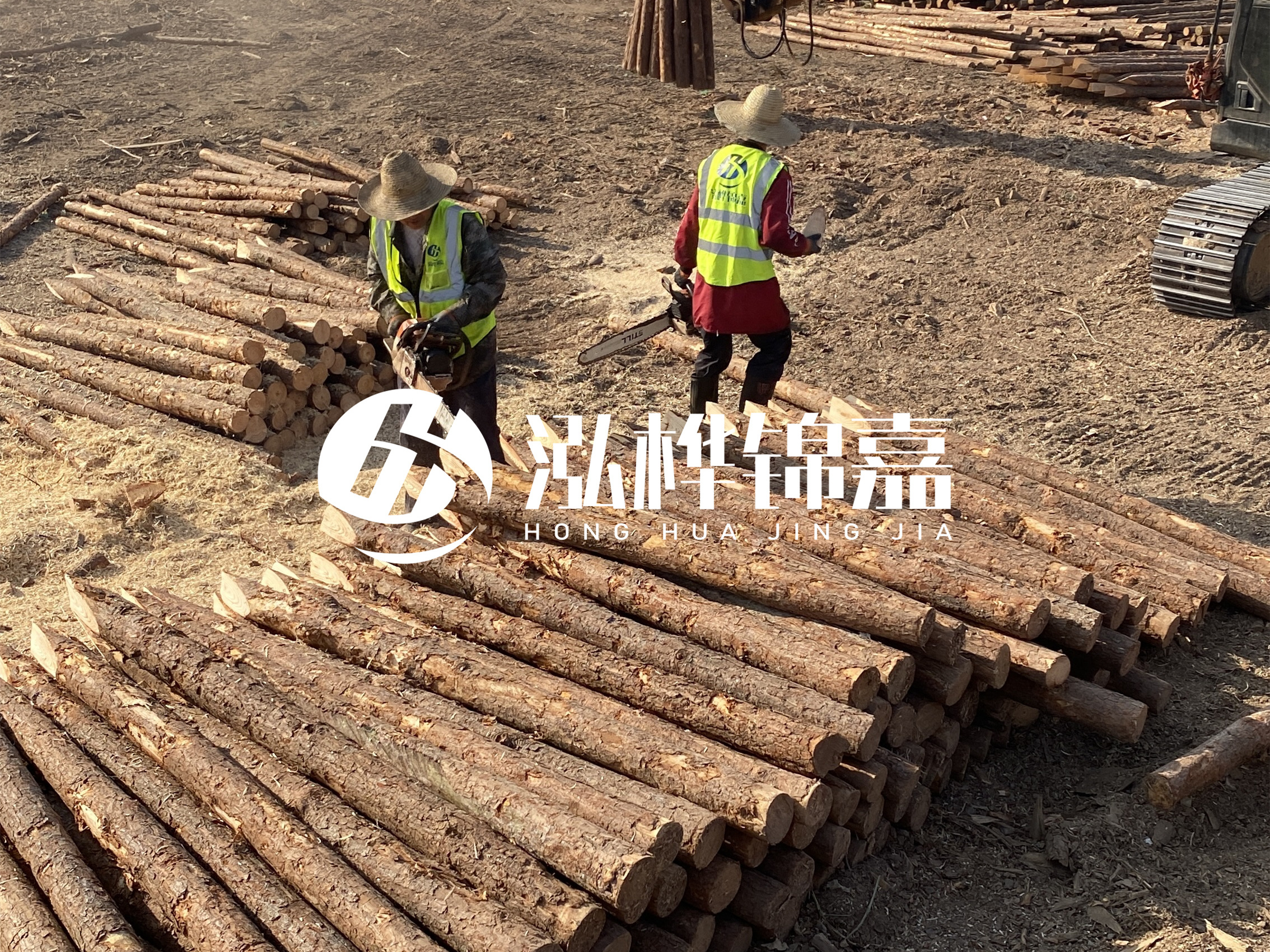 河道木樁報(bào)價(jià)在汛期前后會(huì)有波動(dòng)嗎？什么時(shí)候買最便宜？