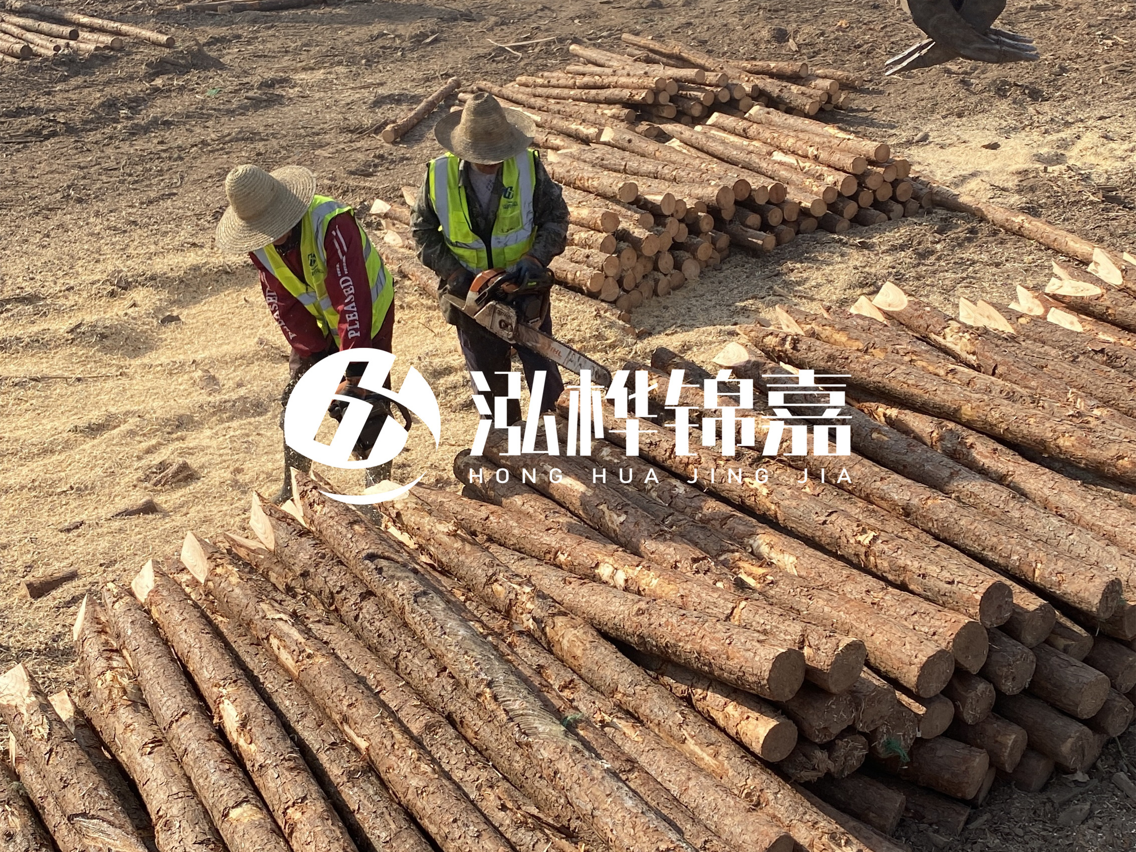 河北打樁木廠家主要生產(chǎn)哪些材質(zhì)的打樁木？產(chǎn)品有哪些規(guī)格？
