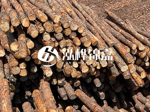 江西有哪些松木樁生產(chǎn)廠家？松木樁廠在什么位置？