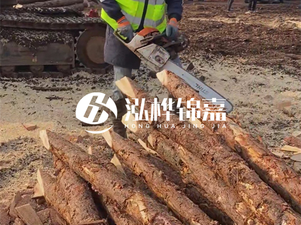 松木樁河道護坡怎么施工？打樁多少錢一根？