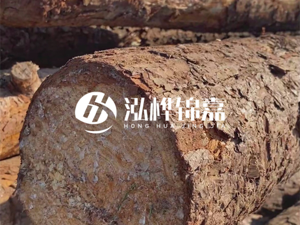 松木樁如何做到千年不腐的？松木樁打地基耐用年限揭秘