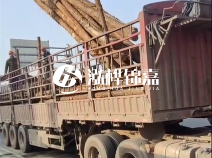 4米長杉木10公分價格-4.5米直徑15cm 杉木多少錢？