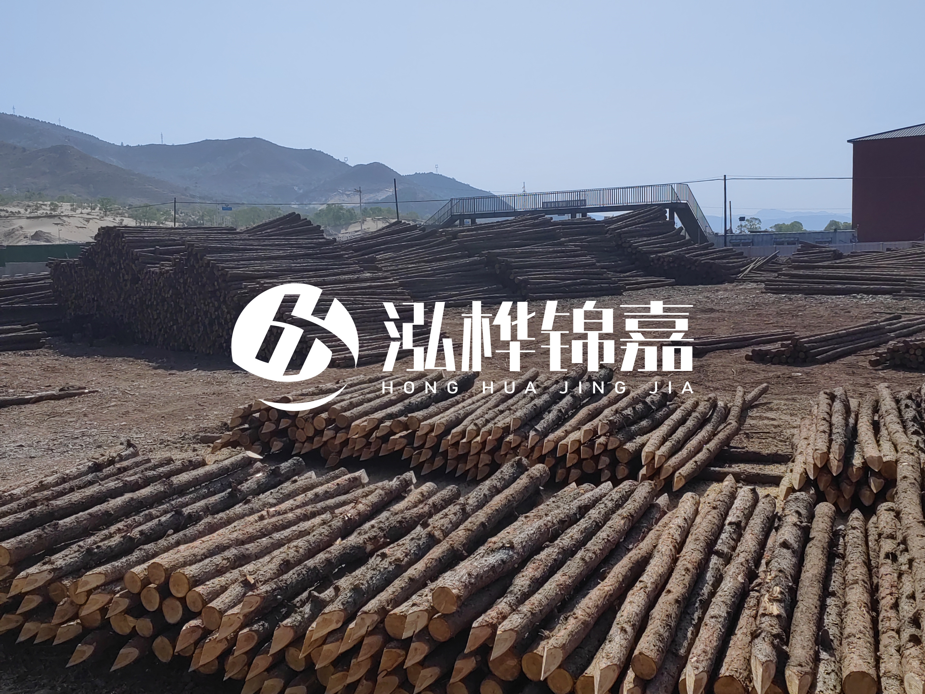 江蘇打樁木源頭廠家泓樺錦嘉-4米打樁木大頭14-16小頭一般多少？