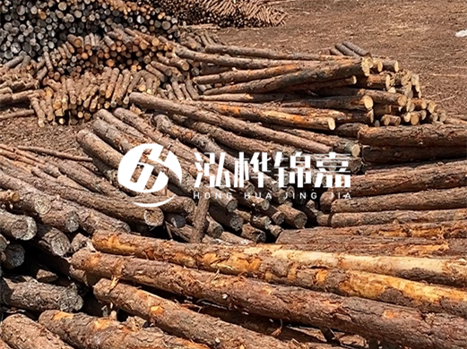 浙江打樁木源頭廠家泓樺錦嘉-松木廠家批發(fā)電話地址？