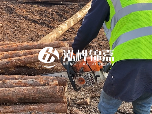 河道打木樁多少錢一根？5米直徑10松木樁打樁多少錢？