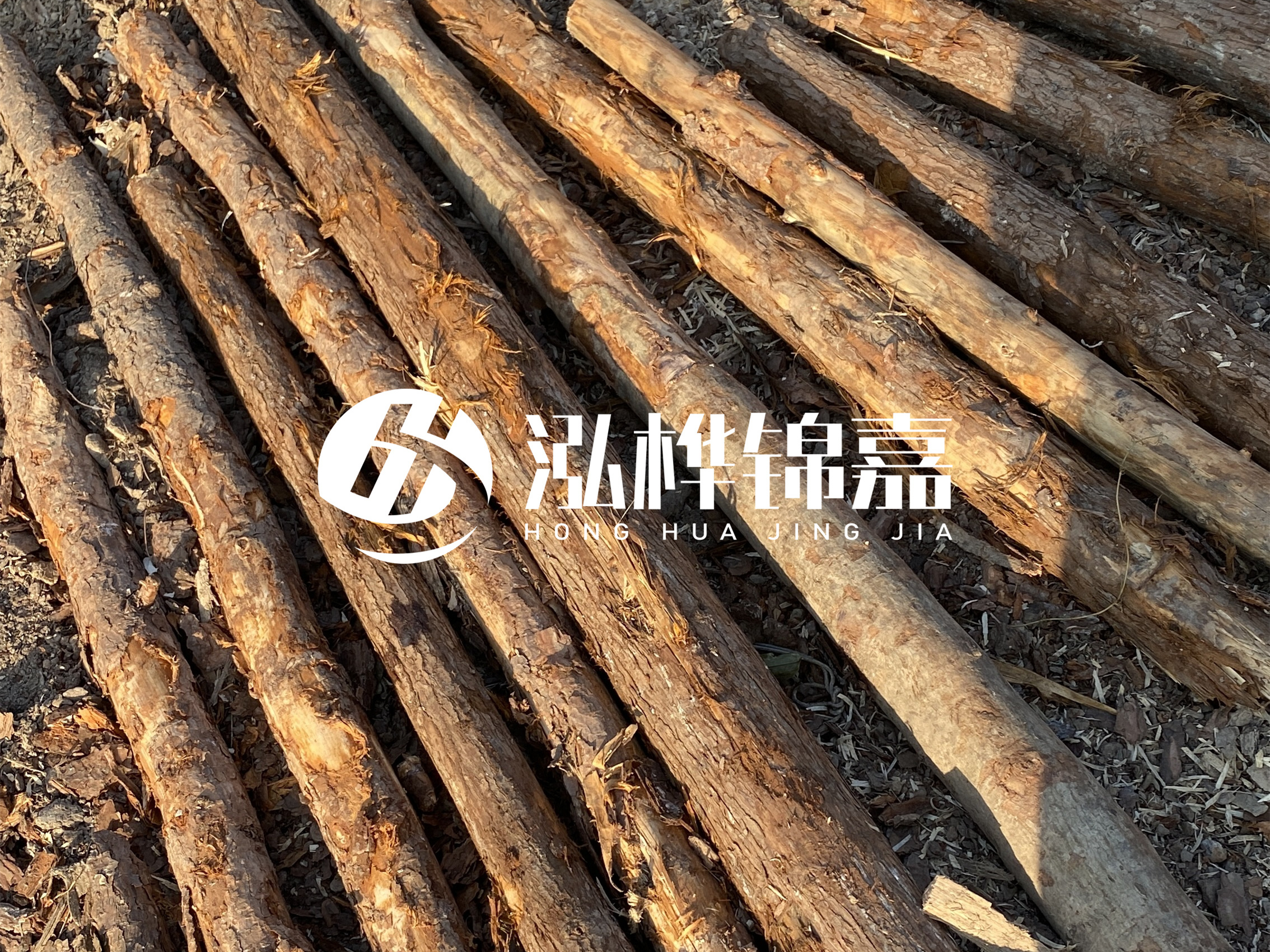 河道木樁多少錢一根？河道木樁的使用以及保養(yǎng)方法?