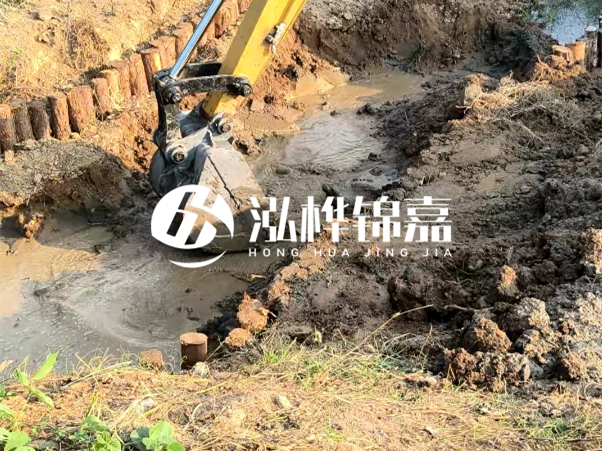 廣東松木樁批發(fā)廠家 - 3 米小頭 8CM 松木樁多少錢？