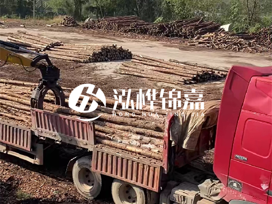 四川松木樁廠家泓樺錦嘉-哪一種打樁木最便宜？