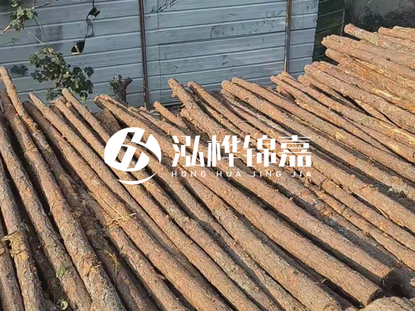 松木樁打樁后清淤怎么處理？有沒有全包的公司？