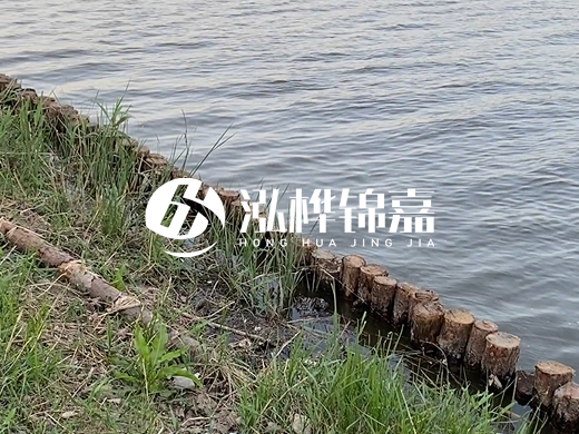 防洪松木樁施工重要性？河道打木樁的位置怎么確定？