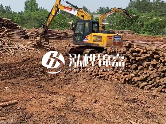 河道松木樁廠家聯(lián)系方式-6米10-15公分價格是多少？