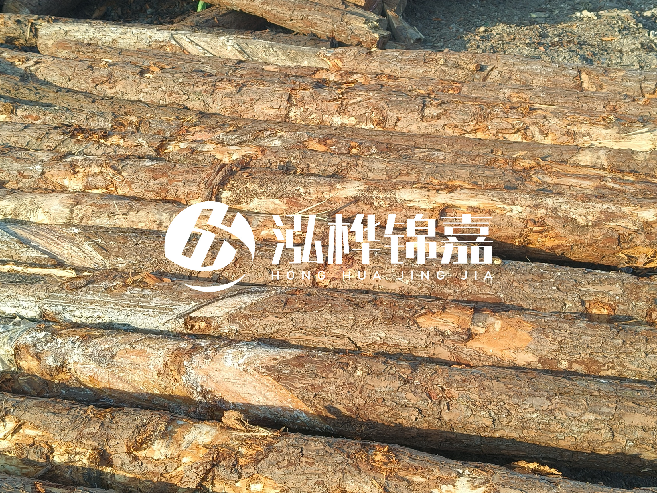 河道木樁的含水率過高會有什么問題？怎么檢查松木樁含水率？