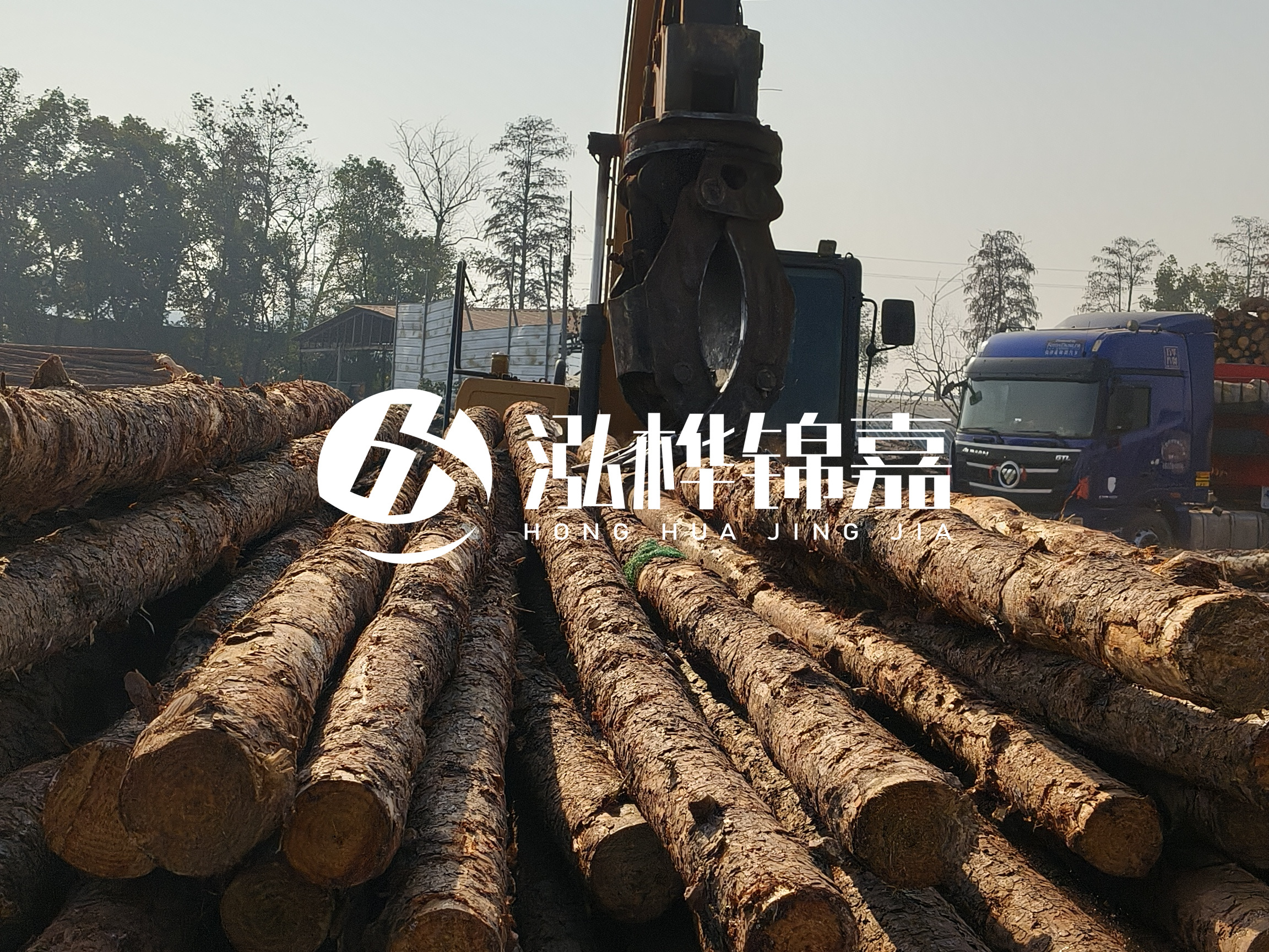 松木樁可以用來做什么？常用于哪些工程？