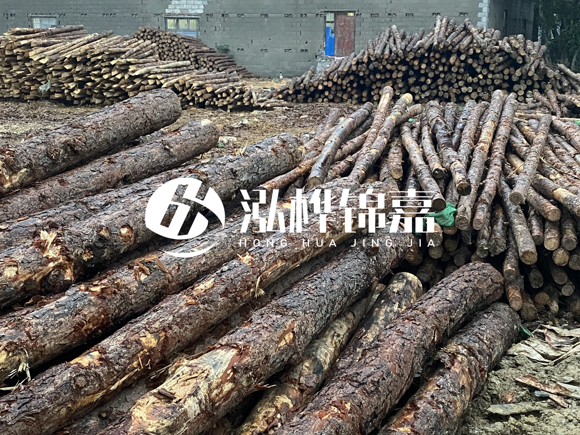松木樁批發(fā)廠家泓樺錦嘉 - 河道松木樁如何選擇優(yōu)質(zhì)木材？