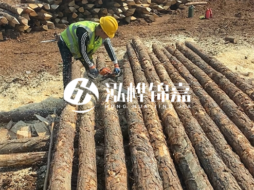 松木樁批發(fā)廠家泓樺錦嘉-河道打樁木施工中怎么防止樁頭被打壞？