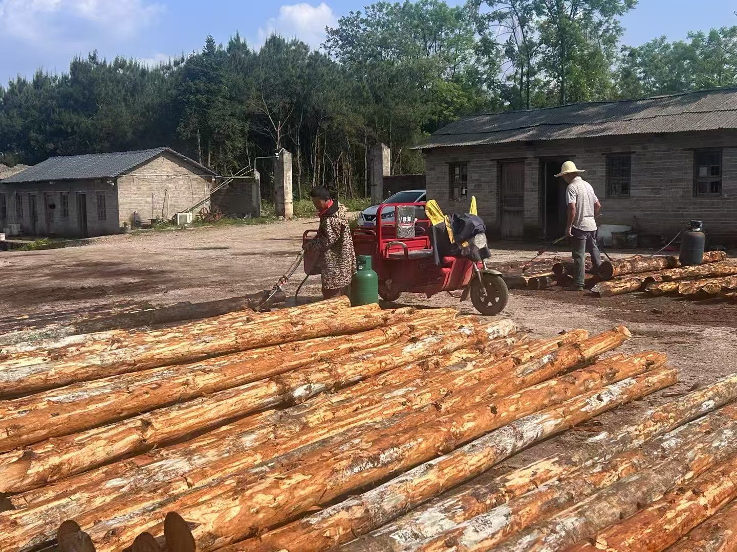 松木樁批發(fā)廠家泓樺錦嘉-圍堰松木樁為什么要交錯(cuò)排列？