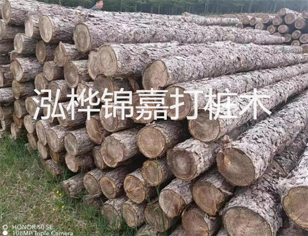 高效修補(bǔ)，保駕護(hù)航！水泥路面高強(qiáng)度修補(bǔ)料為您解決煩惱！