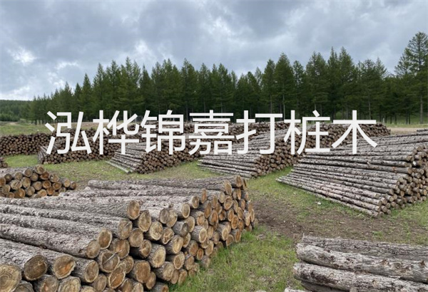 預制松木樁施工工藝：優(yōu)質材料，高效快速，堅固耐用