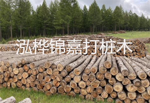 松木樁能施工嗎？探究視頻揭秘真相！