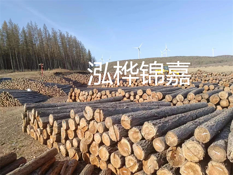 用路基松木樁施工方案提升工程質量描述：了解路基松木樁施工方案的重要性，提高工程質量關鍵詞：路基松木樁，施工方案，工程質量