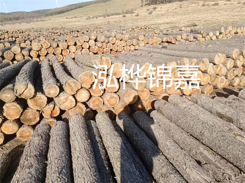 選擇合適的路緣石尺寸，打造美麗道路