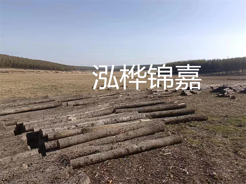 鄂州松木樁哪里好？推薦泓樺錦嘉松木樁業(yè)！